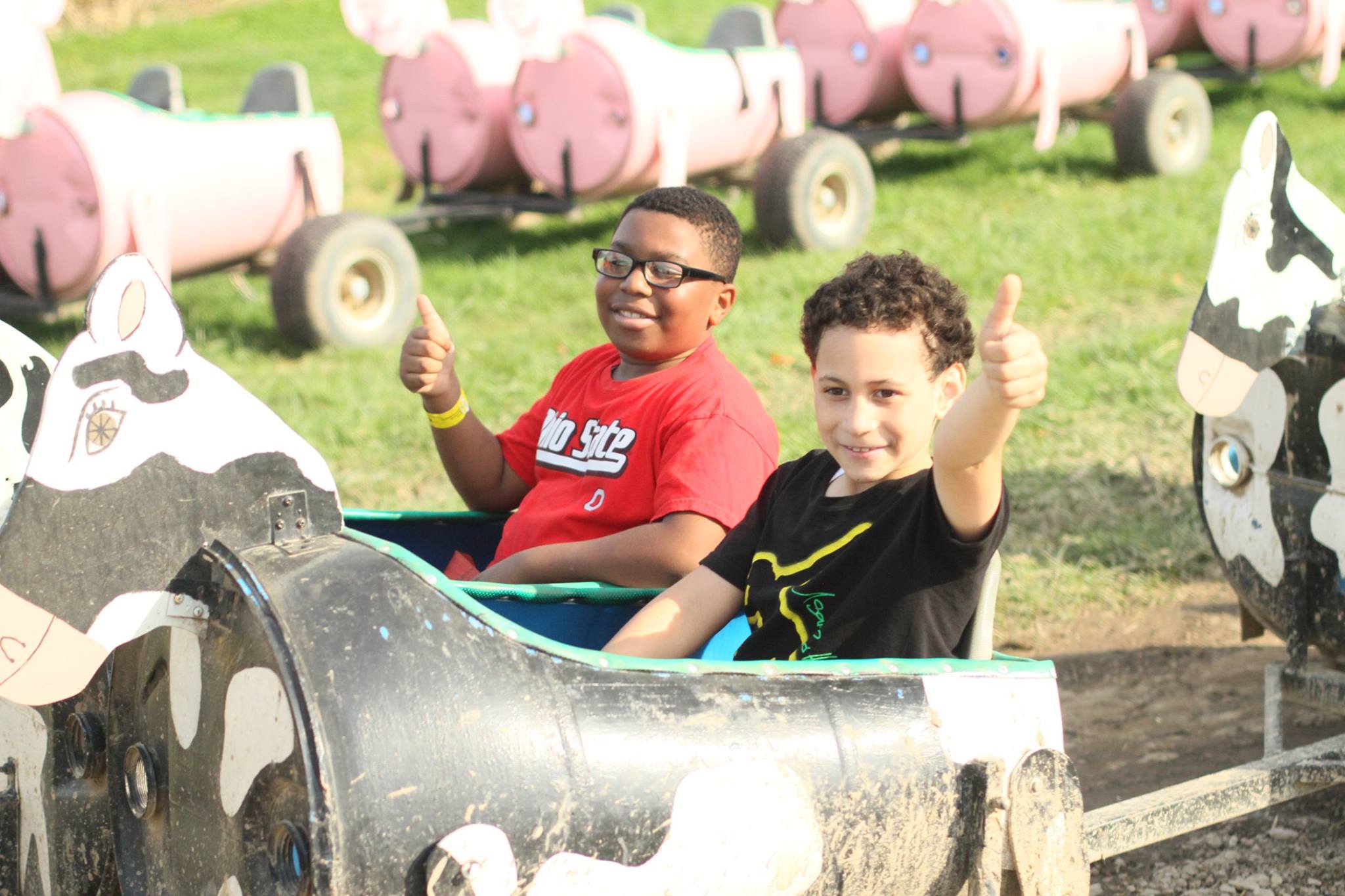 Cow Train & Pig Train